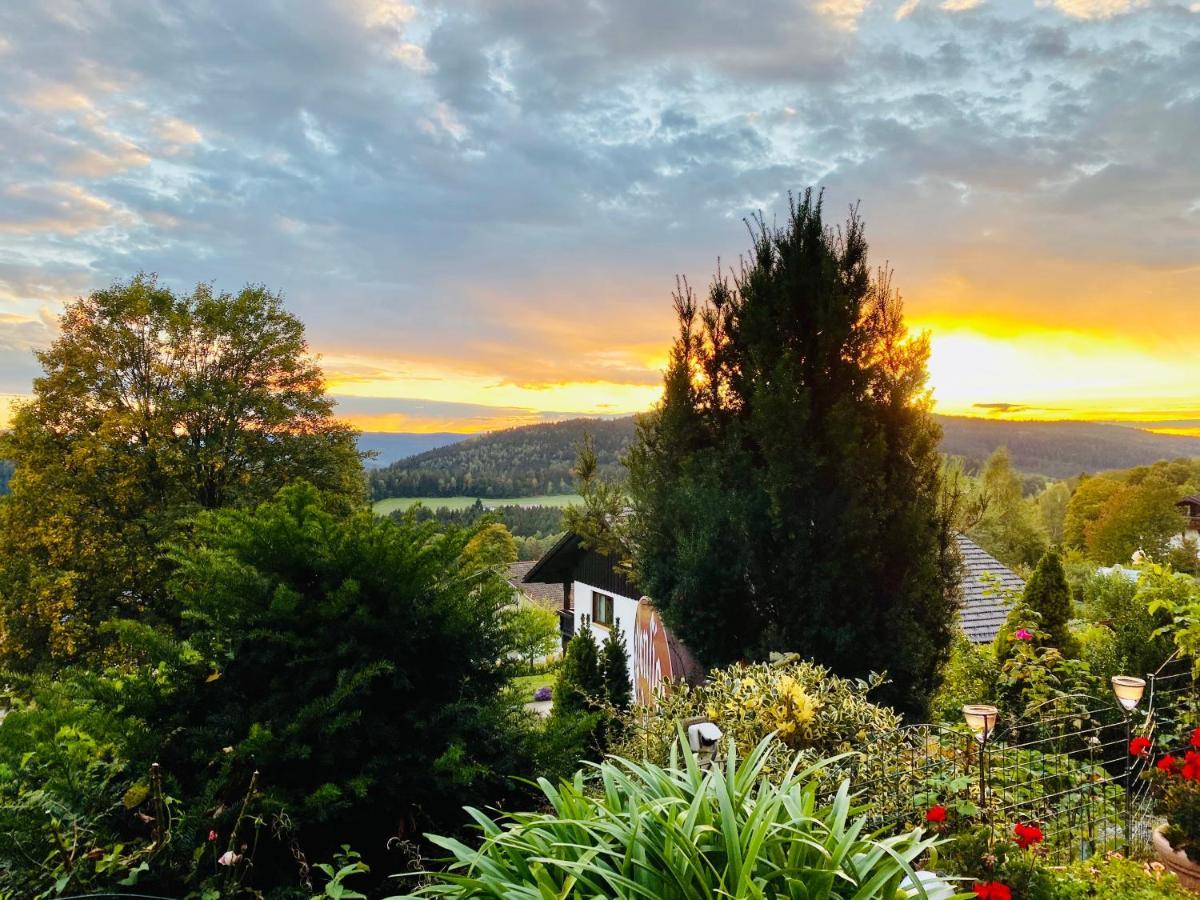 Pension Klein Und Ferienwohnungen (Adults Only) Bodenmais Luaran gambar