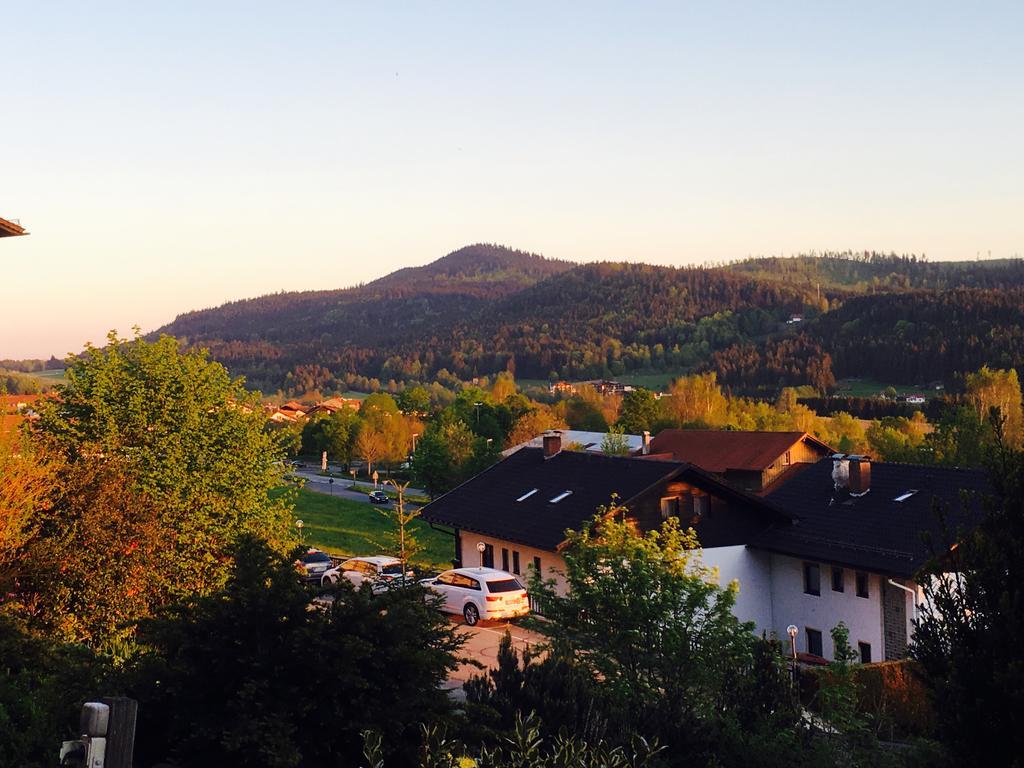 Pension Klein Und Ferienwohnungen (Adults Only) Bodenmais Luaran gambar
