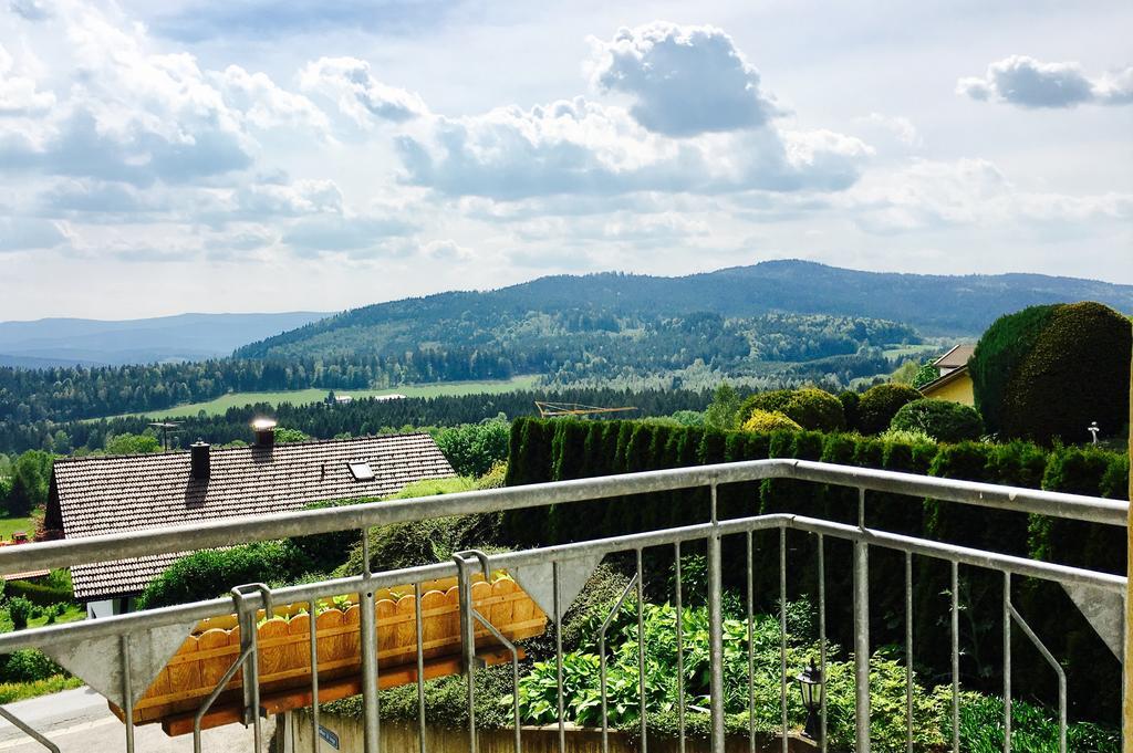 Pension Klein Und Ferienwohnungen (Adults Only) Bodenmais Luaran gambar