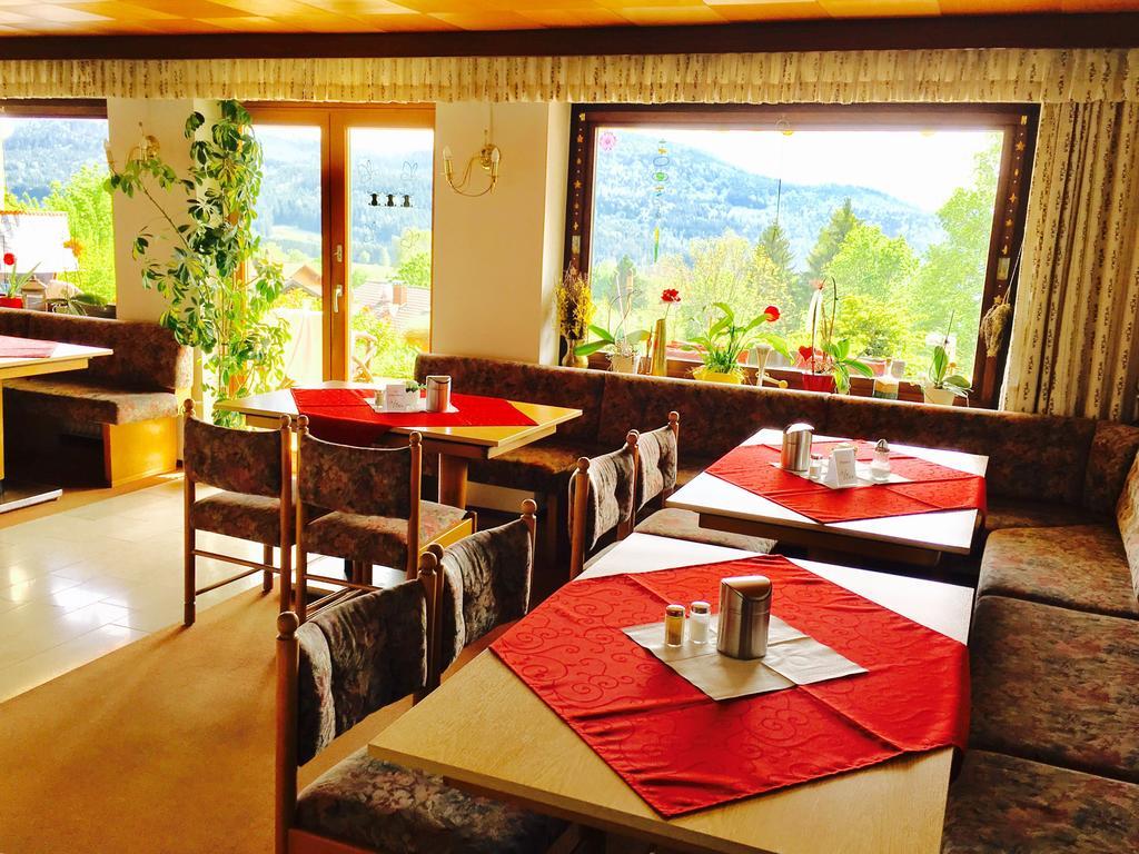 Pension Klein Und Ferienwohnungen (Adults Only) Bodenmais Luaran gambar
